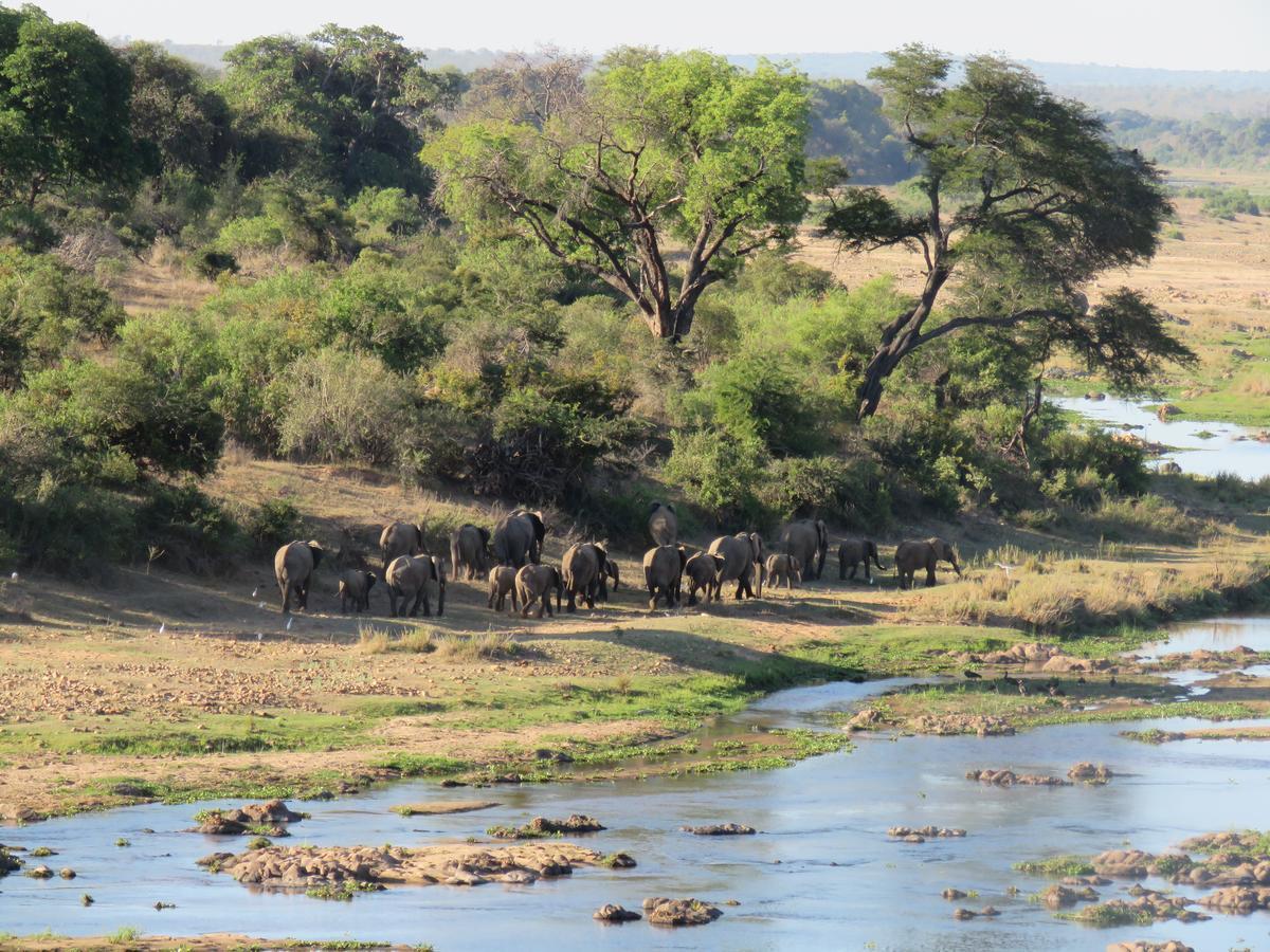 Vila Kruger View Tree House Marloth Park Exteriér fotografie